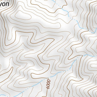 39118SE Page 4 Fallon Topo Preview 2