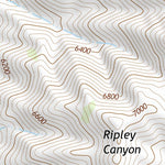 39118SE Page 4 Fallon Topo Preview 3