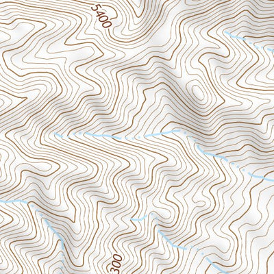 39118SE Page 7 Fallon Topo Preview 3