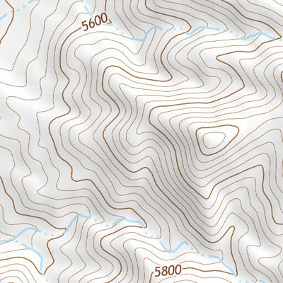 39118SE Page 35 Fallon Topo Preview 2