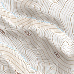 39118SE Page 39 Fallon Topo Preview 3