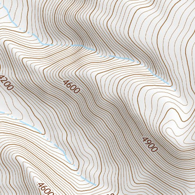 39118SE Page 39 Fallon Topo Preview 3