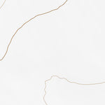 39118SE Page 42 Fallon Topo Preview 2