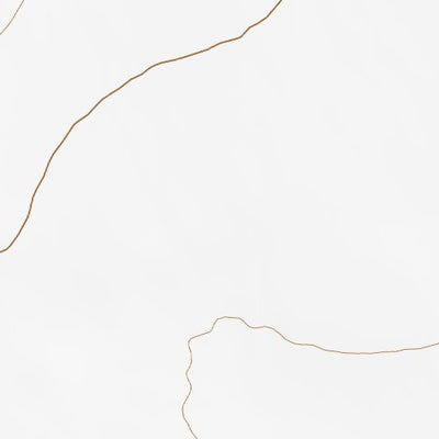 39118SE Page 42 Fallon Topo Preview 2