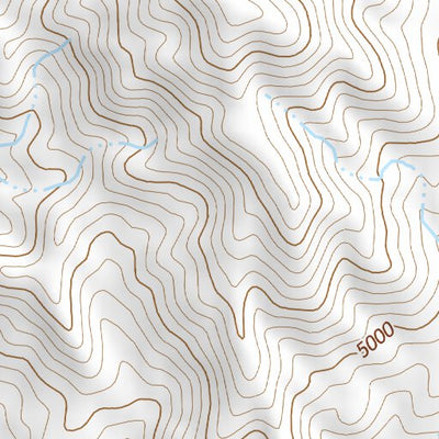 39118SE Page 47 Fallon Topo Preview 2