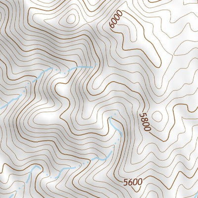 39118SE Page 47 Fallon Topo Preview 3