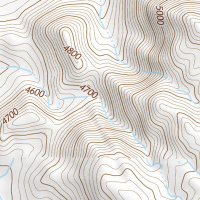 39118SE Page 52 Fallon Topo Preview 3