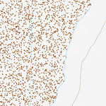 39118SE Page 55 Fallon Topo Preview 3