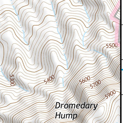 39118SE Page 56 Fallon Topo Preview 3