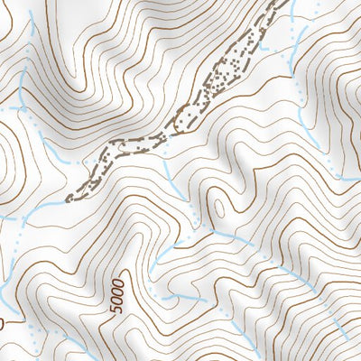 39118SE Page 61 Fallon Topo Preview 3