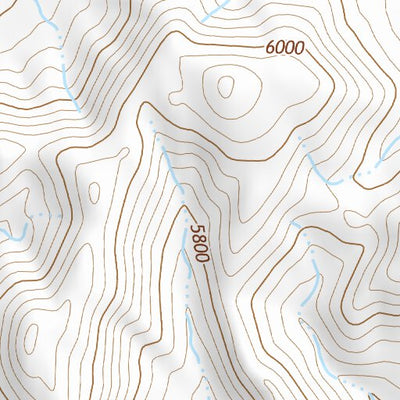 39118SE Page 73 Fallon Topo Preview 2