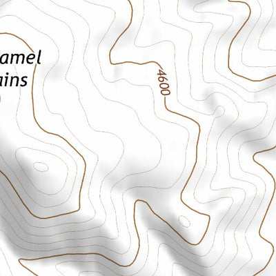 39118SW Page 14 Fallon Topo Preview 3