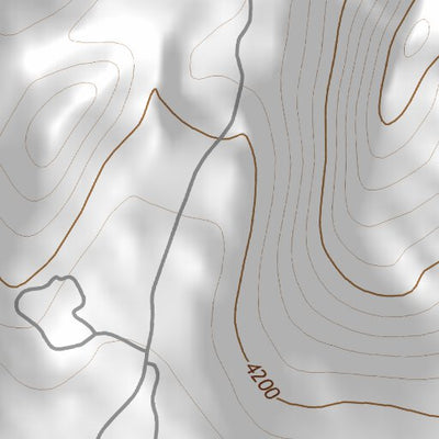 39118SW Page 22 Fallon Topo Preview 2