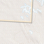 39118SW Page 40 Fallon Topo Preview 3