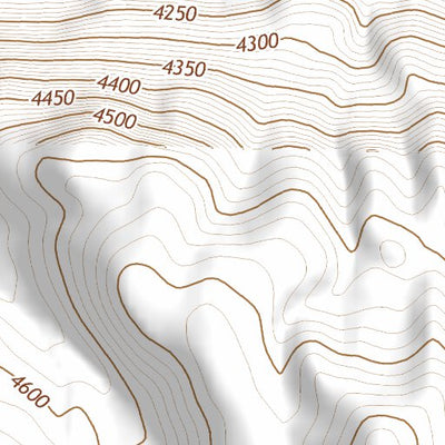 39118SW Page 52 Fallon Topo Preview 3
