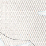 39118SW Page 57 Fallon Topo Preview 3