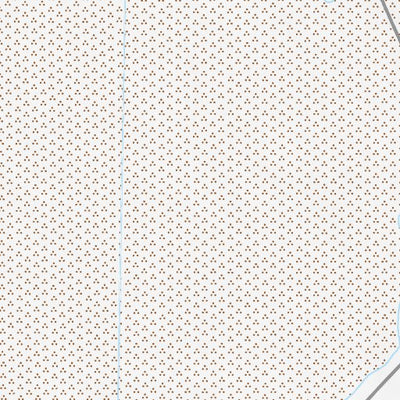 39118SW Page 58 Fallon Topo Preview 3