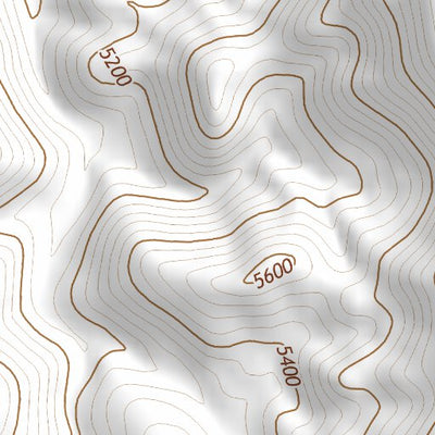 39118SW Page 64 Fallon Topo Preview 3
