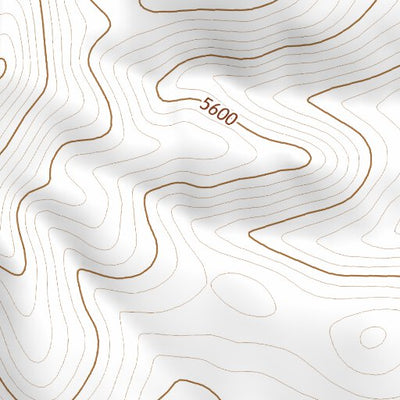 39118SW Page 65 Fallon Topo Preview 2
