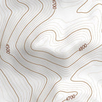 39118SW Page 68 Fallon Topo Preview 3