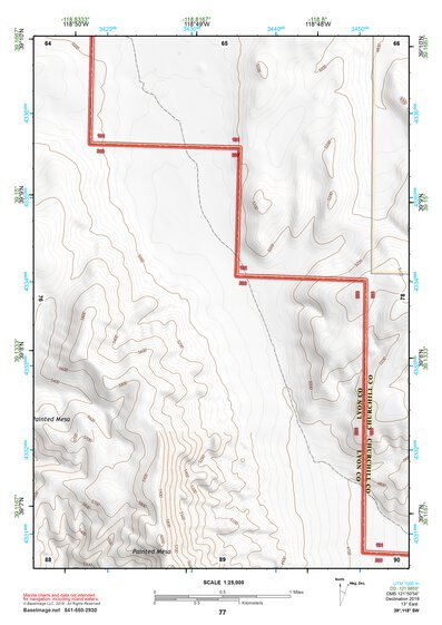 39118SW Page 77 Fallon Topo Preview 1