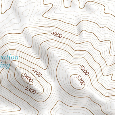 39118SW Page 99 Fallon Topo Preview 3