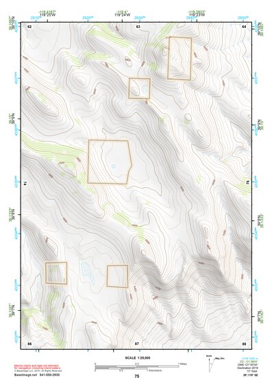 39119SE Page 75 Carson City Topo Preview 1