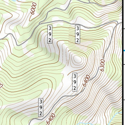 39119SW Page 3 Carson City Topo Preview 3