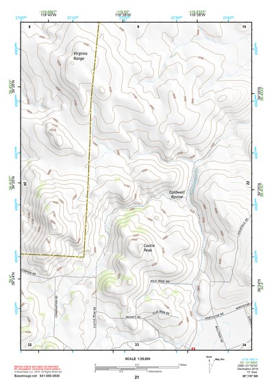 39119SW Page 21 Carson City Topo Preview 1