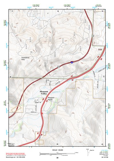 39119SW Page 30 Carson City Topo Preview 1