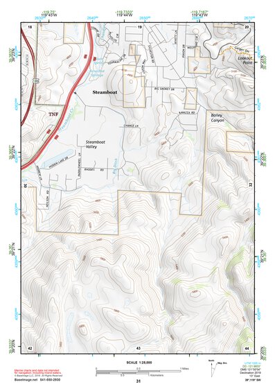 39119SW Page 31 Carson City Topo Preview 1