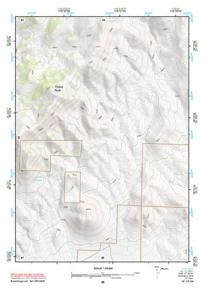 39119SW Page 36 Carson City Topo Preview 1
