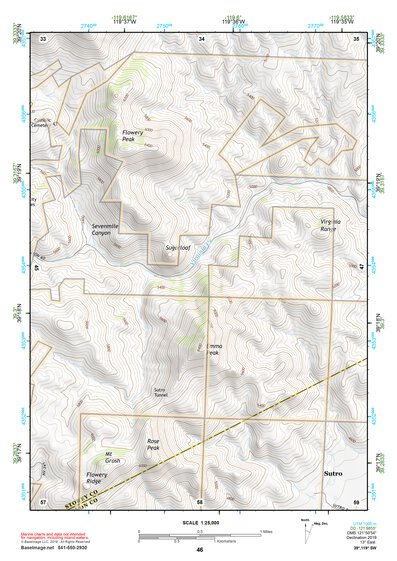 39119SW Page 46 Carson City Topo Preview 1