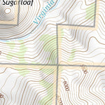 39119SW Page 46 Carson City Topo Preview 2