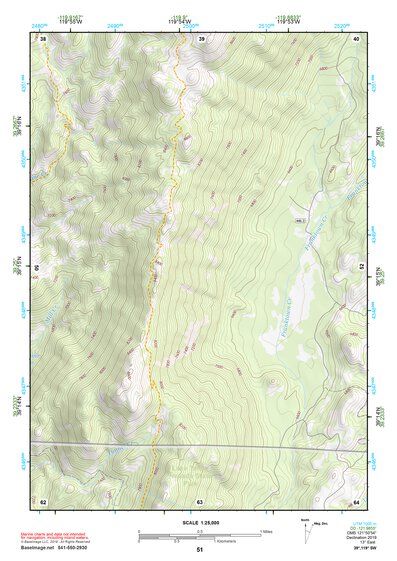 39119SW Page 51 Carson City Topo Preview 1