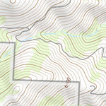 39119SW Page 52 Carson City Topo Preview 3