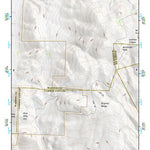 39119SW Page 55 Carson City Topo Preview 1