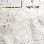 39119SW Page 66 Carson City Topo Preview 3
