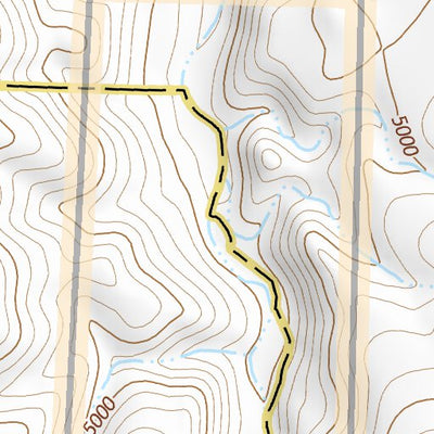 39119SW Page 71 Carson City Topo Preview 2