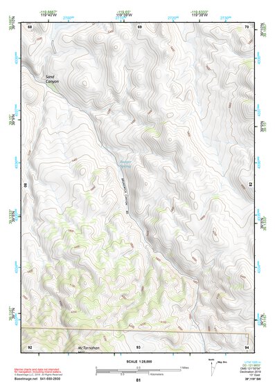 39119SW Page 81 Carson City Topo Preview 1