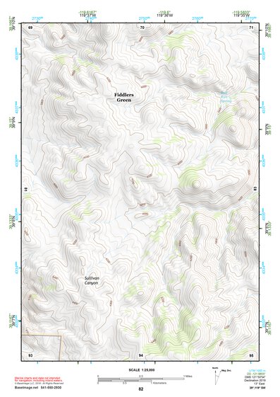 39119SW Page 82 Carson City Topo Preview 1