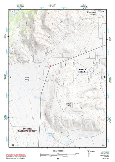 39119SW Page 89 Carson City Topo Preview 1
