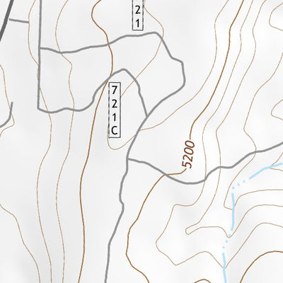 39119SW Page 89 Carson City Topo Preview 2