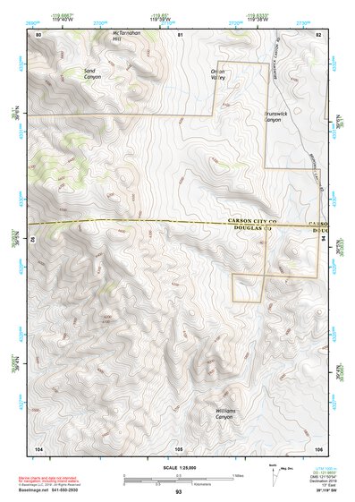 39119SW Page 93 Carson City Topo Preview 1