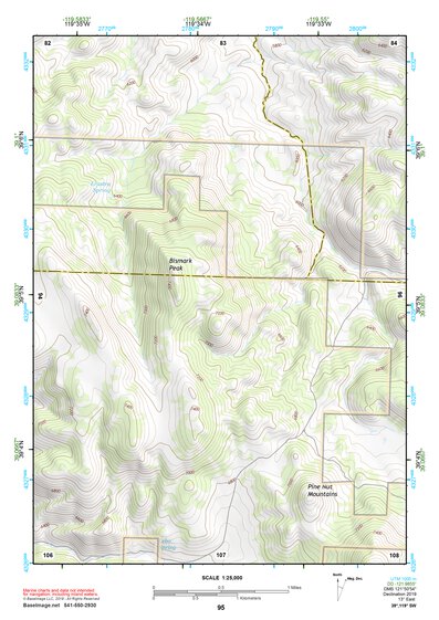39119SW Page 95 Carson City Topo Preview 1