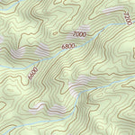 39119SW Page 98 Carson City Topo Preview 3