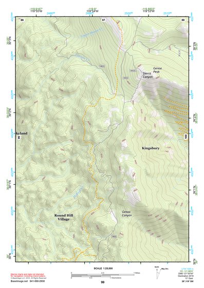 39119SW Page 99 Carson City Topo Preview 1