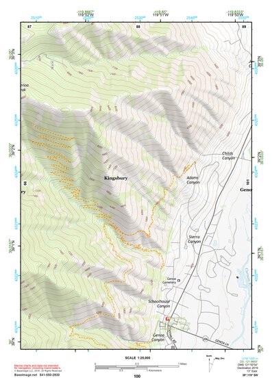 39119SW Page 100 Carson City Topo Preview 1