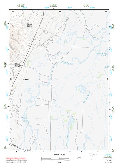 39119SW Page 101 Carson City Topo Preview 1
