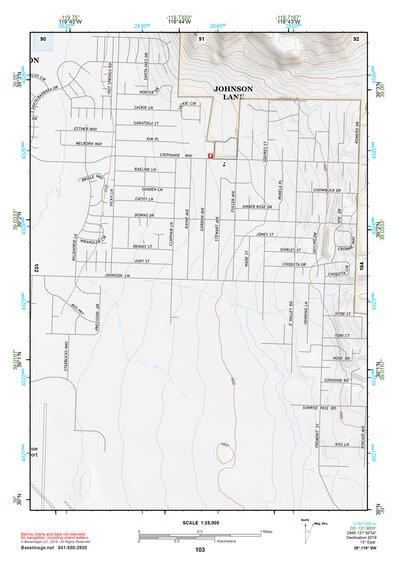 39119SW Page 103 Carson City Topo Preview 1